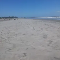 Westport Golf Club - Westport