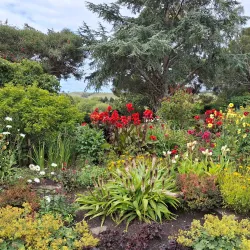 Bason Botanic Gardens - Whanganui