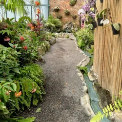 Bason Botanic Gardens - Whanganui