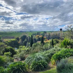 Bason Botanic Gardens - Whanganui