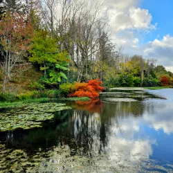 Bason Botanic Gardens - Whanganui