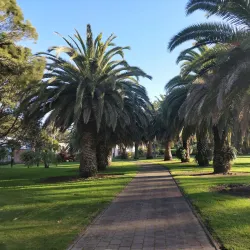 Bason Botanic Gardens - Whanganui