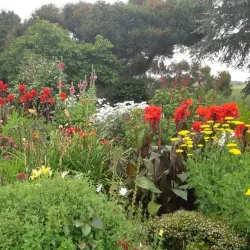 Bason Botanic Gardens - Whanganui