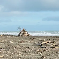 Castlecliff Beach - Whanganui