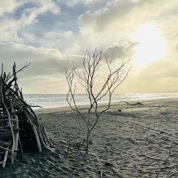 Castlecliff Beach - Whanganui