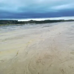 Putiki Marae - Whanganui