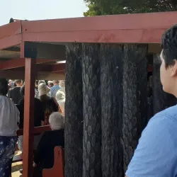 Putiki Marae - Whanganui