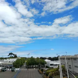 Queens Park - Whanganui