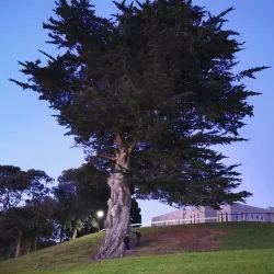 Queens Park - Whanganui