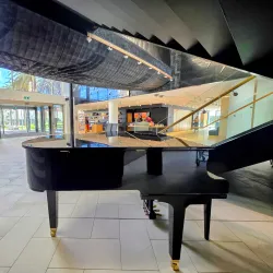 Sarjeant Gallery Te Whare o Rehua Whanganui - Whanganui