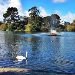 Virginia Lake - Whanganui