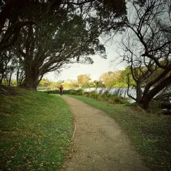 Virginia Lake - Whanganui