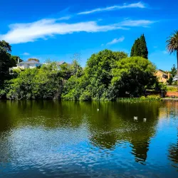 Virginia Lake - Whanganui