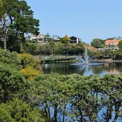 Virginia Lake - Whanganui