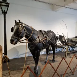 Whanganui Regional Museum - Whanganui