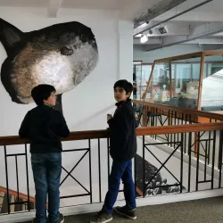 Whanganui Regional Museum - Whanganui