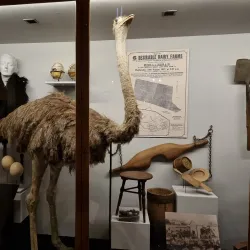 Whanganui Regional Museum - Whanganui