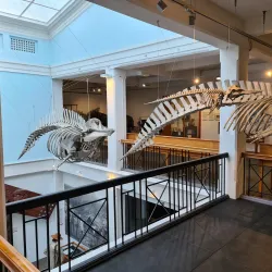 Whanganui Regional Museum - Whanganui