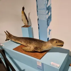 Whanganui Regional Museum - Whanganui