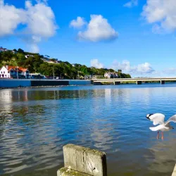 Whanganui River - Whanganui