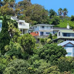 Whanganui River - Whanganui