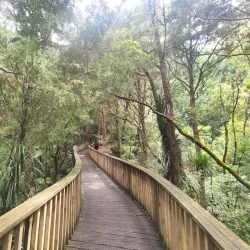 AH Reed Memorial Kauri Park - Whangarei