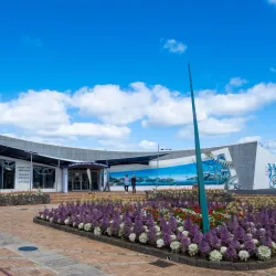Claphams National Clock Museum - Whangarei