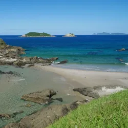 Ocean Beach - Whangarei
