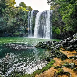 Whangarei Falls - Whangarei