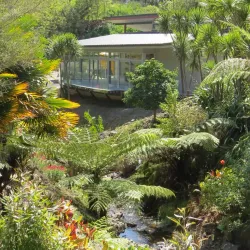 Whangarei Quarry Gardens - Whangarei