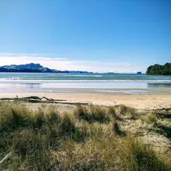 Buffalo Beach - Whitianga