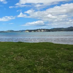 Buffalo Beach - Whitianga
