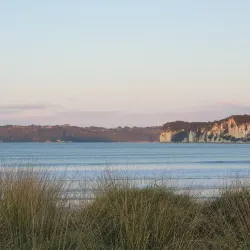 Buffalo Beach - Whitianga