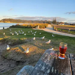 Buffalo Beach - Whitianga