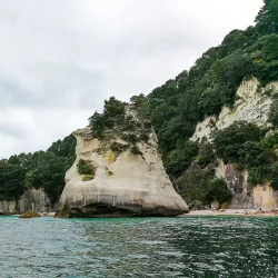 Cathedral Cove Marine Reserve - Whitianga