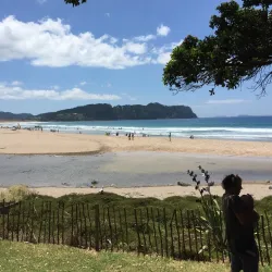 Cathedral Cove Marine Reserve - Whitianga