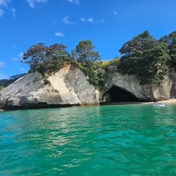 Cathedral Cove Marine Reserve - Whitianga