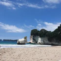 Cathedral Cove Marine Reserve - Whitianga