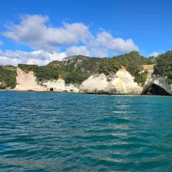 Cathedral Cove Marine Reserve - Whitianga