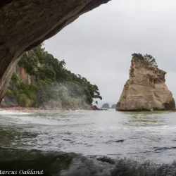 Cathedral Cove Marine Reserve - Whitianga