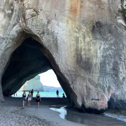 Cathedral Cove Marine Reserve - Whitianga