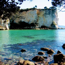 Cathedral Cove Marine Reserve - Whitianga