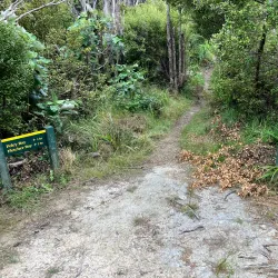 Coromandel Coastal Walkway - Whitianga