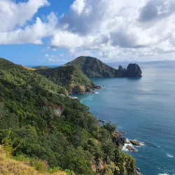 Coromandel Coastal Walkway - Whitianga