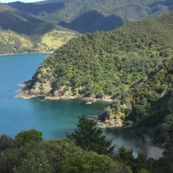 Coromandel Coastal Walkway - Whitianga