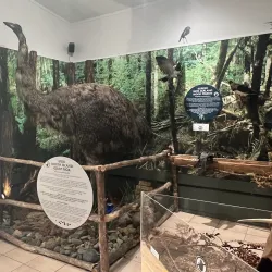 Mercury Bay Museum - Whitianga