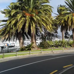 Mercury Bay Museum - Whitianga