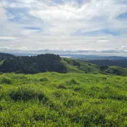 Shakespeare Cliff Walk - Whitianga
