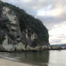 Shakespeare Cliff Walk - Whitianga