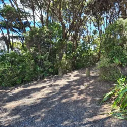Shakespeare Cliff Walk - Whitianga